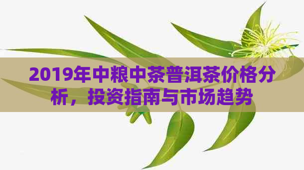 2019年中粮中茶普洱茶价格分析，投资指南与市场趋势