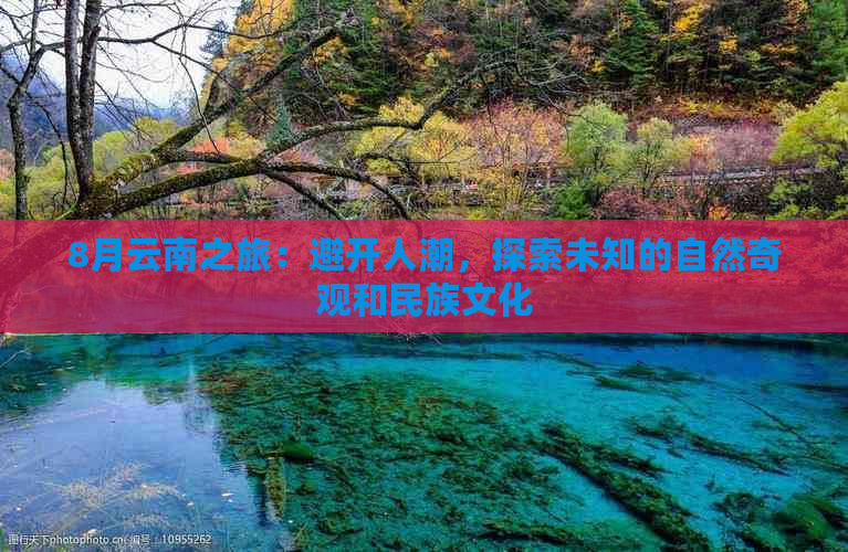 8月云南之旅：避开人潮，探索未知的自然奇观和民族文化