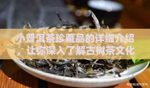 小普洱茶珍藏品的详细介绍，让你深入了解古树茶文化