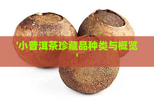 '小普洱茶珍藏品种类与概览'