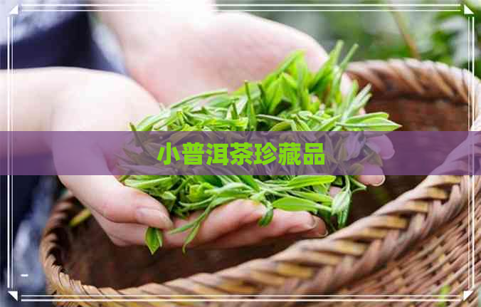 小普洱茶珍藏品