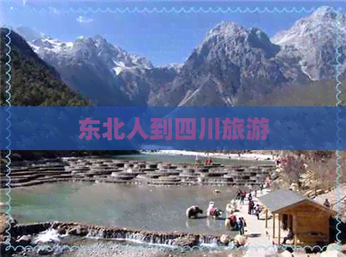 东北人到四川旅游