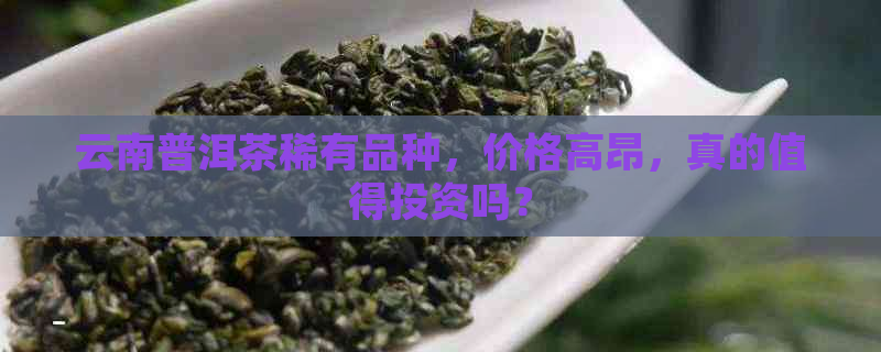 云南普洱茶稀有品种，价格高昂，真的值得投资吗？