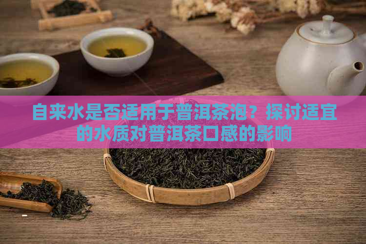 自来水是否适用于普洱茶泡？探讨适宜的水质对普洱茶口感的影响