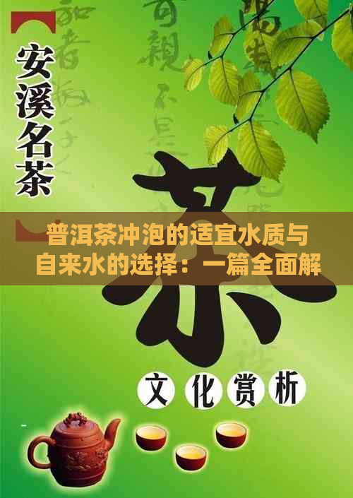 普洱茶冲泡的适宜水质与自来水的选择：一篇全面解答