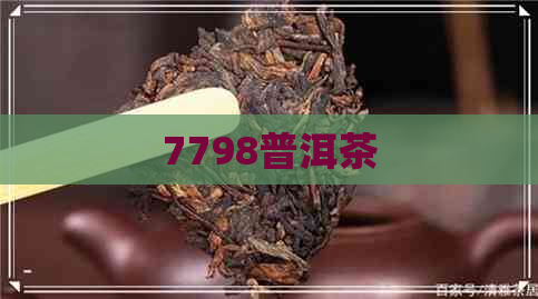 7798普洱茶