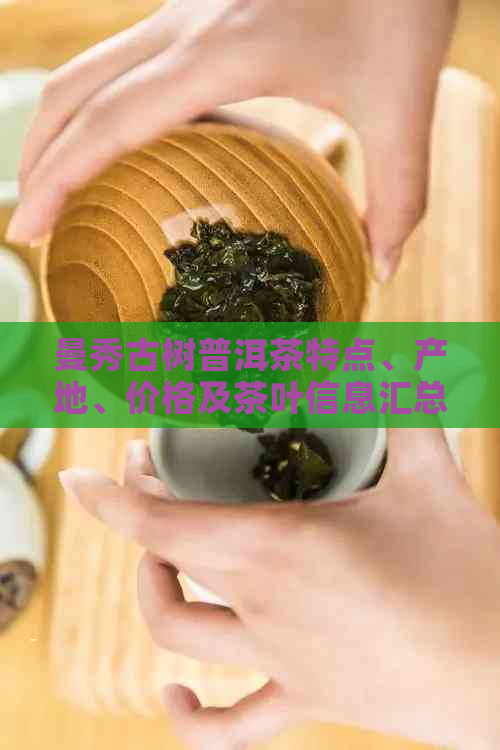 曼秀古树普洱茶特点、产地、价格及茶叶信息汇总