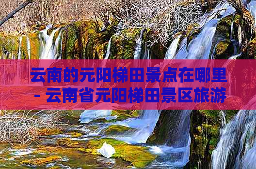 云南的元阳梯田景点在哪里 - 云南省元阳梯田景区旅游攻略与主要景点