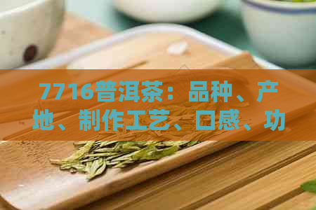 7716普洱茶：品种、产地、制作工艺、口感、功效与泡法全面解析