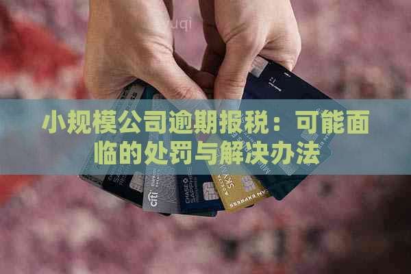 小规模公司逾期报税：可能面临的处罚与解决办法