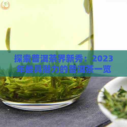 探索普洱茶界新秀：2023年更具潜力的普洱茶一览