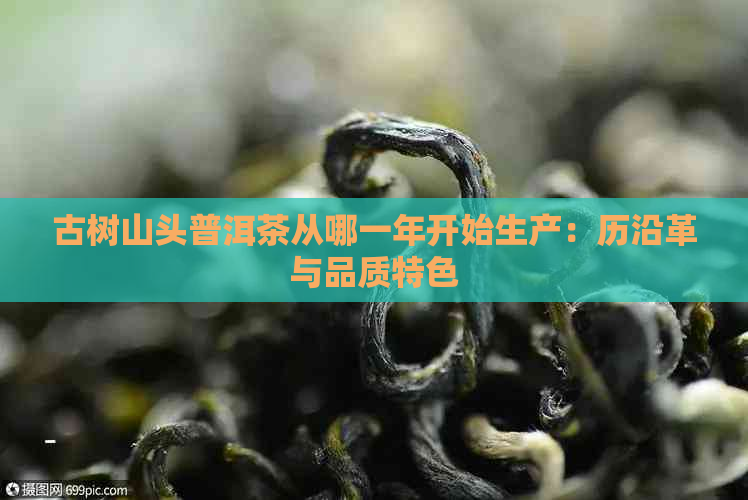 古树山头普洱茶从哪一年开始生产：历沿革与品质特色