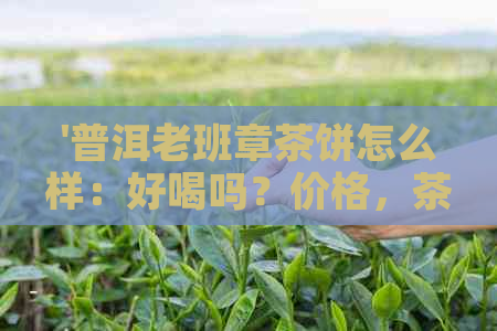 '普洱老班章茶饼怎么样：好喝吗？价格，茶叶，口感及价格解析'