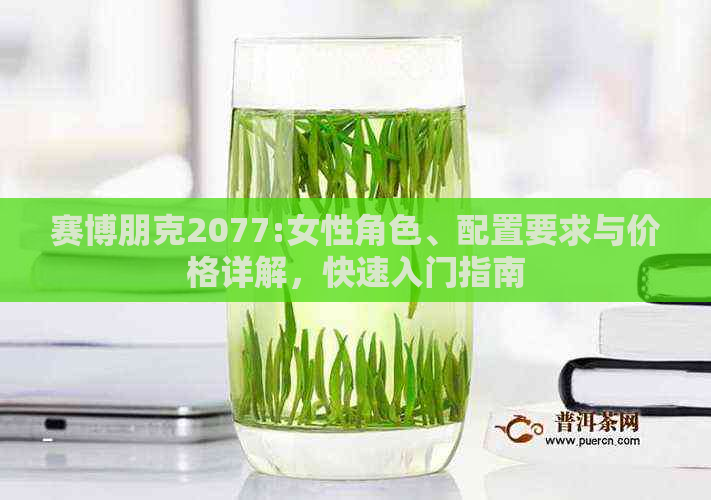 赛博朋克2077:女性角色、配置要求与价格详解，快速入门指南