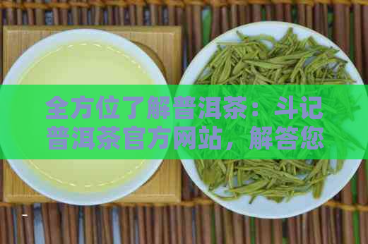 全方位了解普洱茶：斗记普洱茶官方网站，解答您的所有疑问