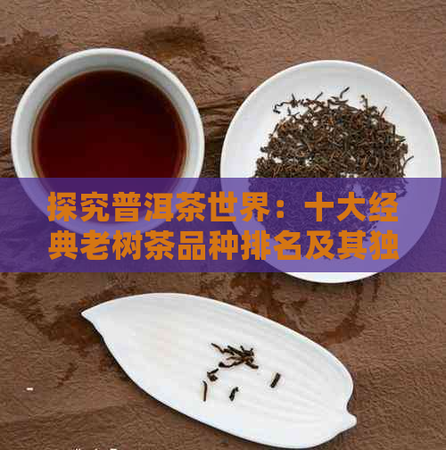 探究普洱茶世界：十大经典老树茶品种排名及其独特魅力