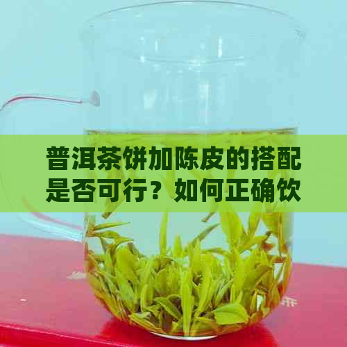 普洱茶饼加陈皮的搭配是否可行？如何正确饮用以获得效果？