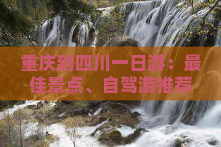 重庆到四川一日游：更佳景点、自驾游推荐、预算指南、攻略与路线全览