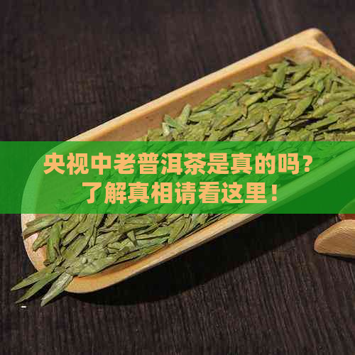 央视中老普洱茶是真的吗？了解真相请看这里！