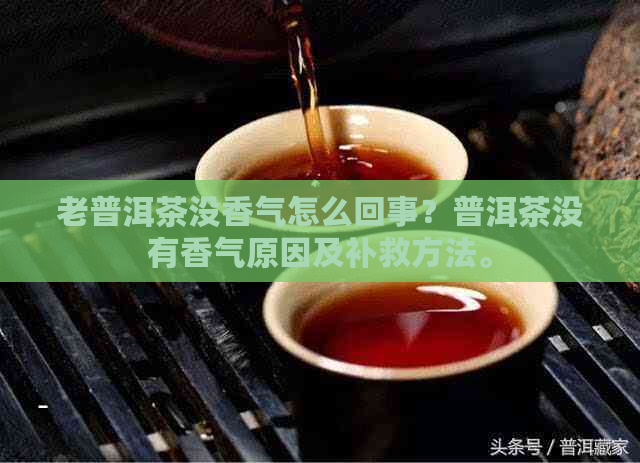 老普洱茶没香气怎么回事？普洱茶没有香气原因及补救方法。