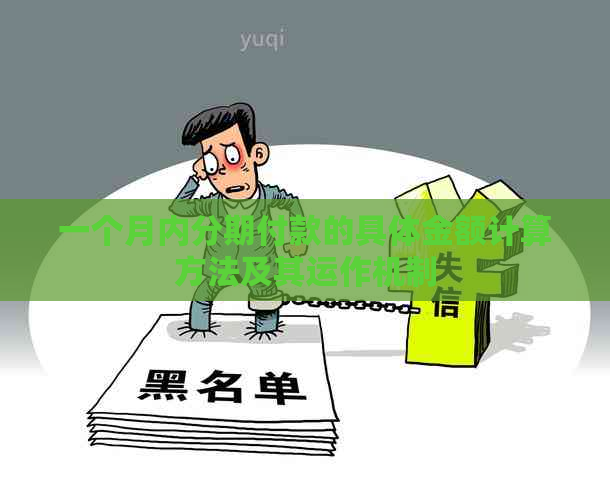 一个月内分期付款的具体金额计算方法及其运作机制