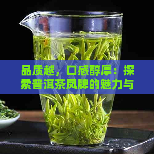 品质越，口感醇厚：探索普洱茶凤牌的魅力与独特之处