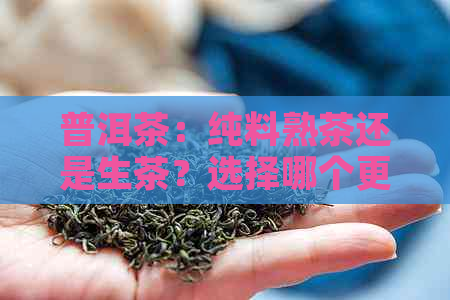 普洱茶：纯料熟茶还是生茶？选择哪个更好？