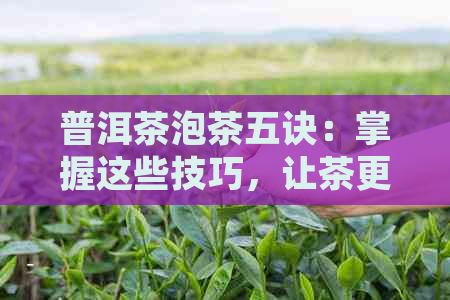 普洱茶泡茶五诀：掌握这些技巧，让茶更美味！