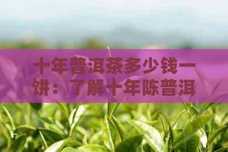 十年普洱茶多少钱一饼：了解十年陈普洱茶饼的价格与价值