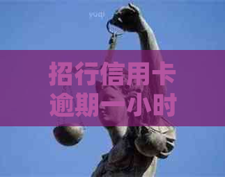 招行信用卡逾期一小时是否会被记录？了解详细情况及影响因素