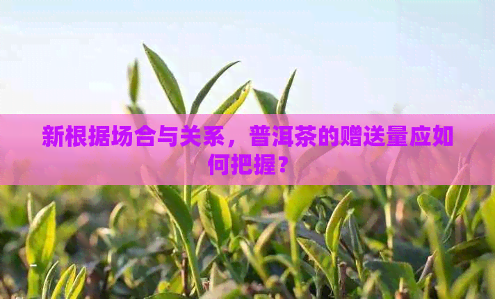 新根据场合与关系，普洱茶的赠送量应如何把握？