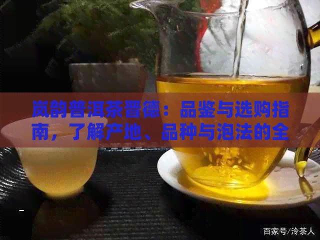 岚韵普洱茶晋德：品鉴与选购指南，了解产地、品种与泡法的全方位解析