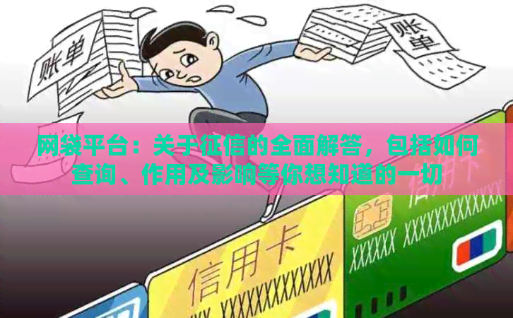 网袋平台：关于的全面解答，包括如何查询、作用及影响等你想知道的一切