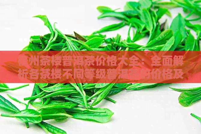 梧州茶楼普洱茶价格大全：全面解析各茶楼不同等级普洱茶的价格及优信息