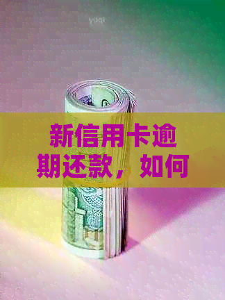 新信用卡逾期还款，如何防止自动扣款功能失效？