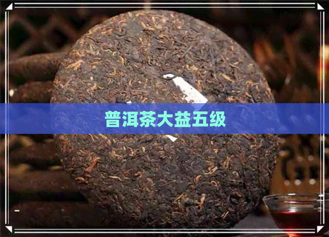 普洱茶大益五级