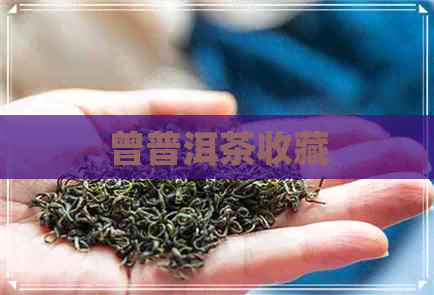 曾普洱茶收藏