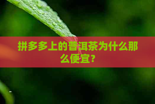 拼多多上的普洱茶为什么那么便宜？