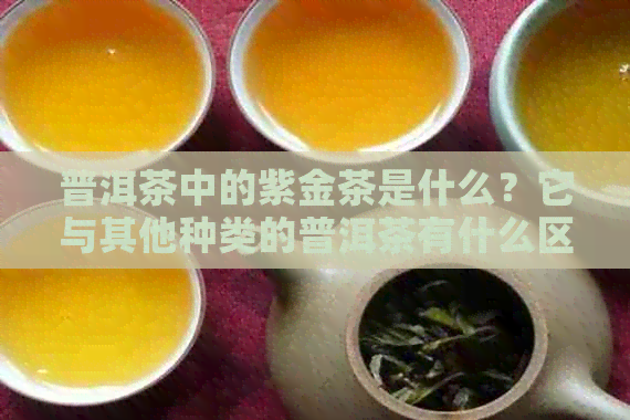 普洱茶中的紫金茶是什么？它与其他种类的普洱茶有什么区别？