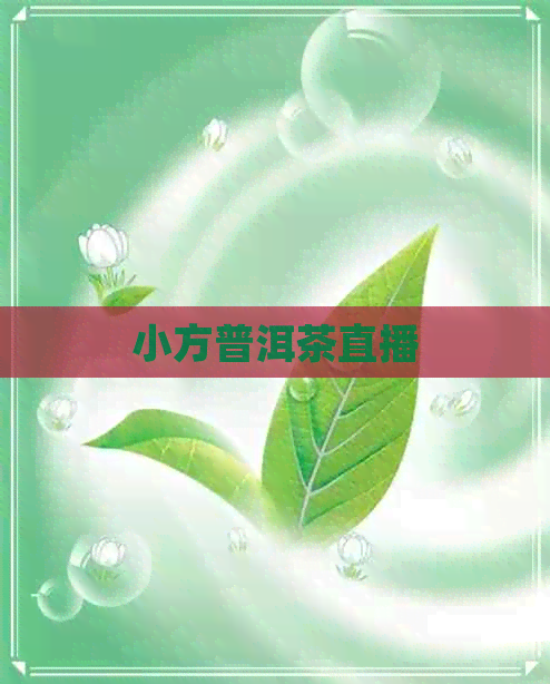 小方普洱茶直播