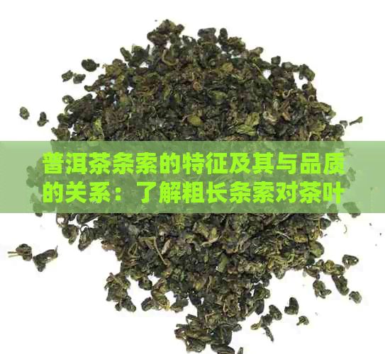 普洱茶条索的特征及其与品质的关系：了解粗长条索对茶叶的影响