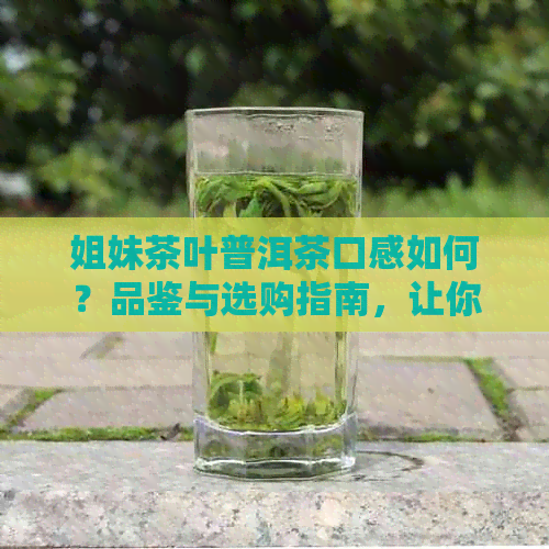 姐妹茶叶普洱茶口感如何？品鉴与选购指南，让你全面了解普洱茶的魅力