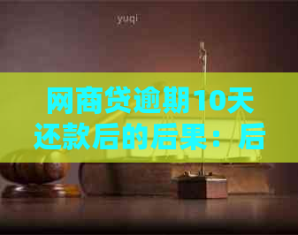 网商贷逾期10天还款后的后果：后期贷款申请是否受影响？