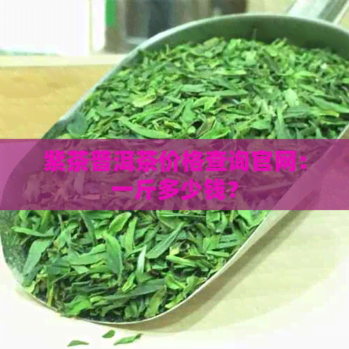 紫茶普洱茶价格查询官网：一斤多少钱？