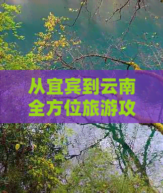 从宜宾到云南全方位旅游攻略：行程规划、住宿、交通、景点推荐及必备事项