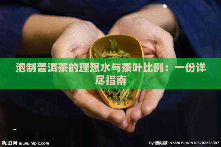 泡制普洱茶的理想水与茶叶比例：一份详尽指南