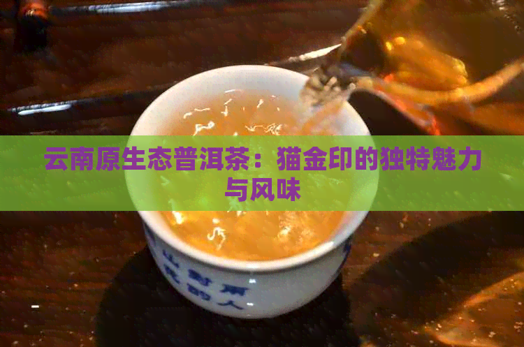 云南原生态普洱茶：猫金印的独特魅力与风味