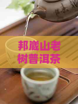 邦崴山老树普洱茶的价格及口感介绍