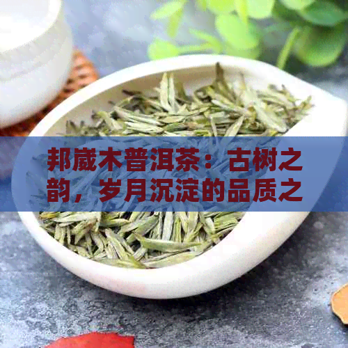 邦崴木普洱茶：古树之韵，岁月沉淀的品质之美