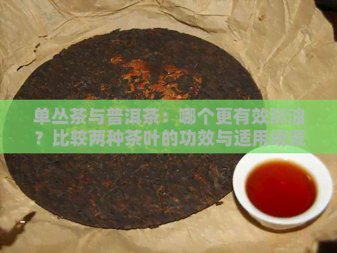 单丛茶与普洱茶：哪个更有效刮油？比较两种茶叶的功效与适用场景